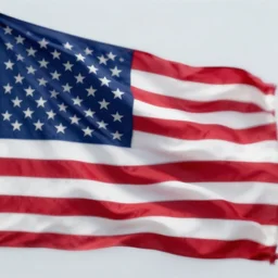 the future of america