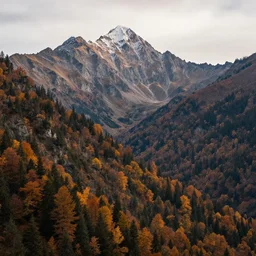 majestic mountain scene in autumn, ultra detail, professionally retouched, soft lighting, wide angle, 8 k high definition, intricate, elegant, art by masha sardar, ricardo ow, wlop, marta syrko