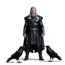 grizzled odin with ravens, cinematic studio photo, full body, standing, isolated on a pure white background, centered, whole figure in frame, sharp focus, studio lighting