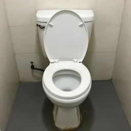 photograph of a toilet. the toilet is covered in paint.