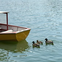 boat : : 5 duck : : 4 0
