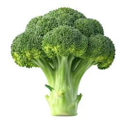 a broccoli with alligator mouth showing teeth