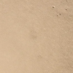 Muddy dry ground, diffuse texture, top down