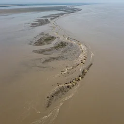 top mid view of muddy river delta joining sea by hiroshi yoshida, ridley scott, roger deakins, turner, rothko, hyperrealism, turbulent organic landscape, matte painting, fluid simulation, trending on artstation, 8 k high detail concept art, rendered in octane