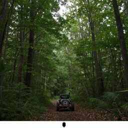 trail cam footage lighting