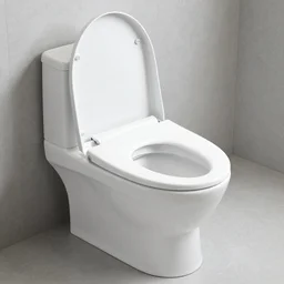 noise canceling toilet, airpods, airbuds, bidet