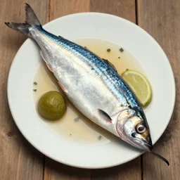 sardine god