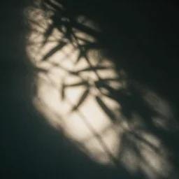 ! dream photograph, photo realistic, 4 k, dramatic lighting, dappled lighting,