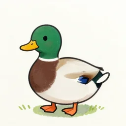 cute mallard, drawing