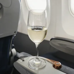 looking down at a glass of bubbly wine in premium economy, aeroplane seat, photorealism, highly detailed, wooden armrest, white wine, focus blur, washed out colour