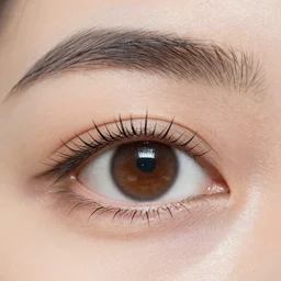 human eyes