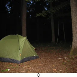 trail cam of taylor swift camping at the woods at night