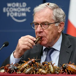 a press photo of Klaus Schwab of the world economic forum eating bugs and other insects, horrible, 8k