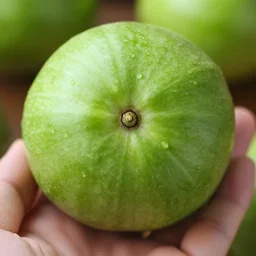 an extinct green fruit