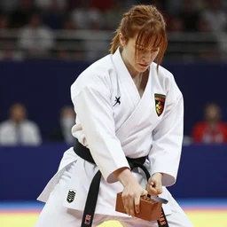 katniss everdeen as a karate expert, wearing a white gi, chopping a brick with her hand, award winning photography