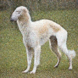 borzoi judging wether someone should live or perish