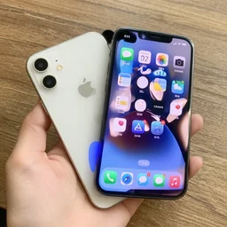 iphone mini pro