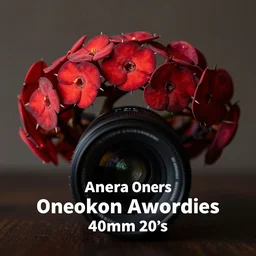 photograph of a crown of thorns, red hues, award winning photography,40mm lens, shallow depth of field, split lighting