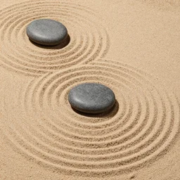 zen sand garden by charles addams,