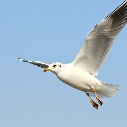 Digital art of a woman riding a giant seagull in the sky