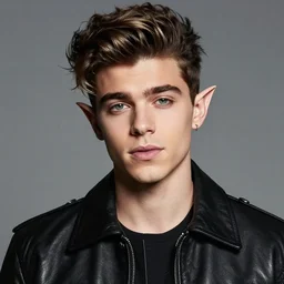 portrait of zayn malik as an elf by turner, only one head single portrait, pointy ears, wearing a black leather collared jacket