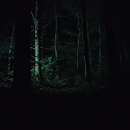 film still, nocturnal forest, horror scene, low lighting
