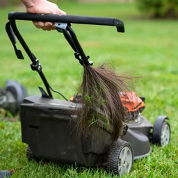 lawnmower mowing the hair off of someones head