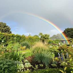 equirectangular view of a rainbow garden