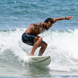 tony hawk pro surfing