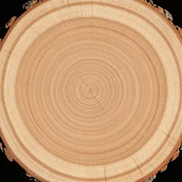 tree rings, top down, 8 k
