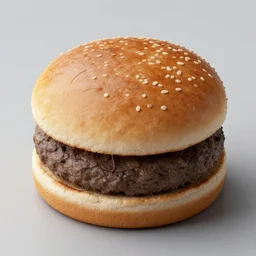 Hamburger fossil
