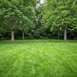 garden:2, grass:2, trees:-1