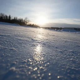 frozen sun, tilt shift