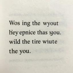 i stole this prompt