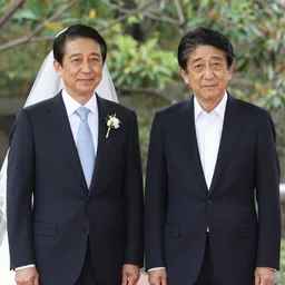 The wedding of Tsai Ing-wen and Shinzo Abe.