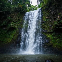 A waterfall in a lush rainforest, colorful, cinematic