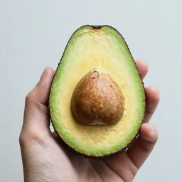photo avocado in hand