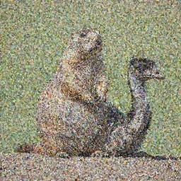 Prairie Dog riding Emu