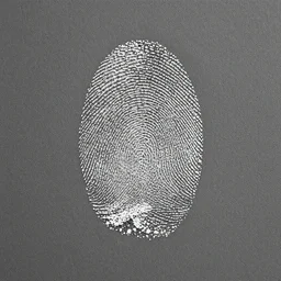 fingerprints and smudges greyscale HD 4K texture