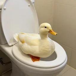 a duck sitting inside toilet