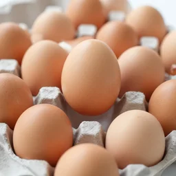 a brown egg climbing out of a full carton of eggs, ultrarealistic