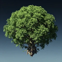 massive, planet sized tree floating through space