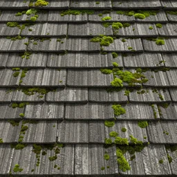 seamless tileable texture of japanese roof shingles with moss, very realistic, very detailed, beautiful, intricate details, sharp focus, substance designer, digital painting, substance render, substance painter, marmoset, studio ghibli, hayao miyazaki, low poly art, unreal engine, octane render