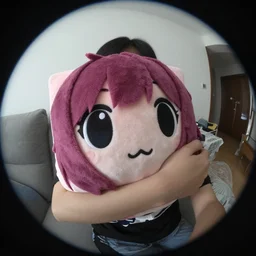 pov, gopro footage, fisheye lens, hugging my waifu pillow