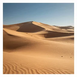 desert by disney concept artists, blunt borders, rule of thirds