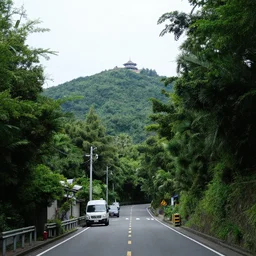 View through the streets and upwards of Hashima gradually returning to nature