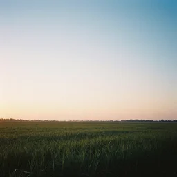 early morning glow on a field, album cover. no text, no watermarks film
