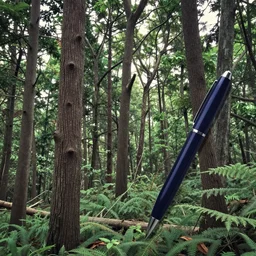 spiral trees in a dense forest ballpoint pen