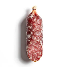 industrial salami, photorealistic, isolated on a pure white background, centered, entire object in frame, sharp focus, soft studio lighting