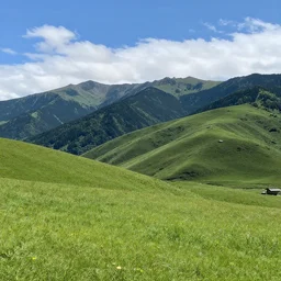 grassy mountain fields